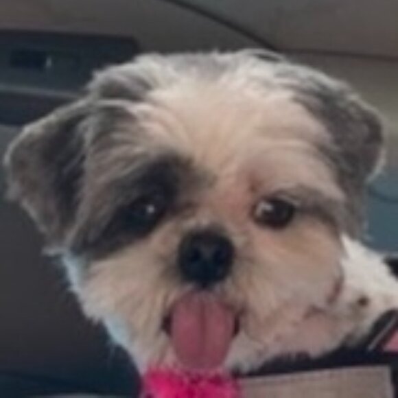 Meet your Posher, Kelly - Picture 1 of 1